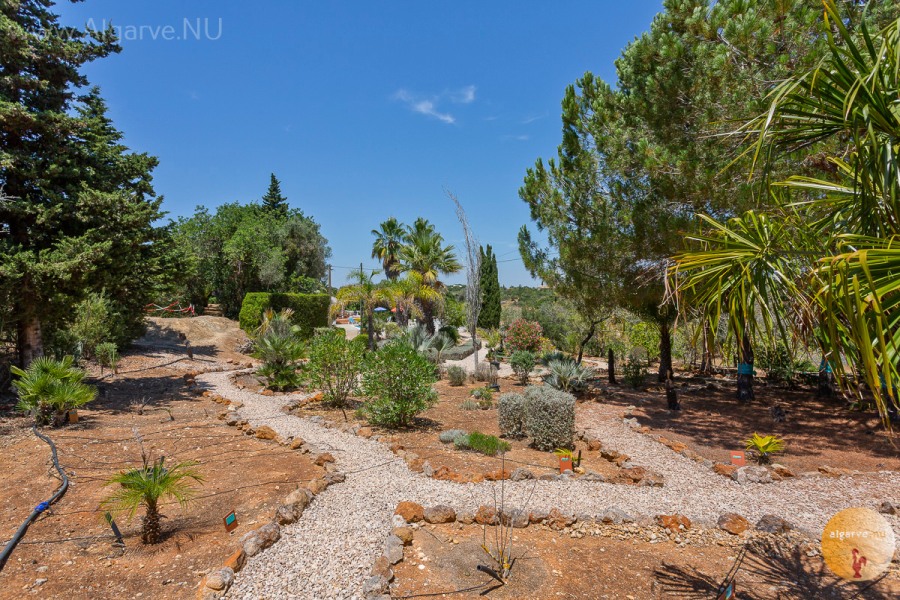 Heel grote en mooi aangelegde tuin met Palmbomen.